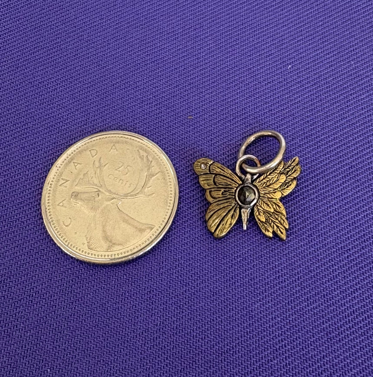 Butterfly charm next to a Canadian coin on a blue background