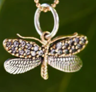 Gold dragonfly pendant necklace on a dark background