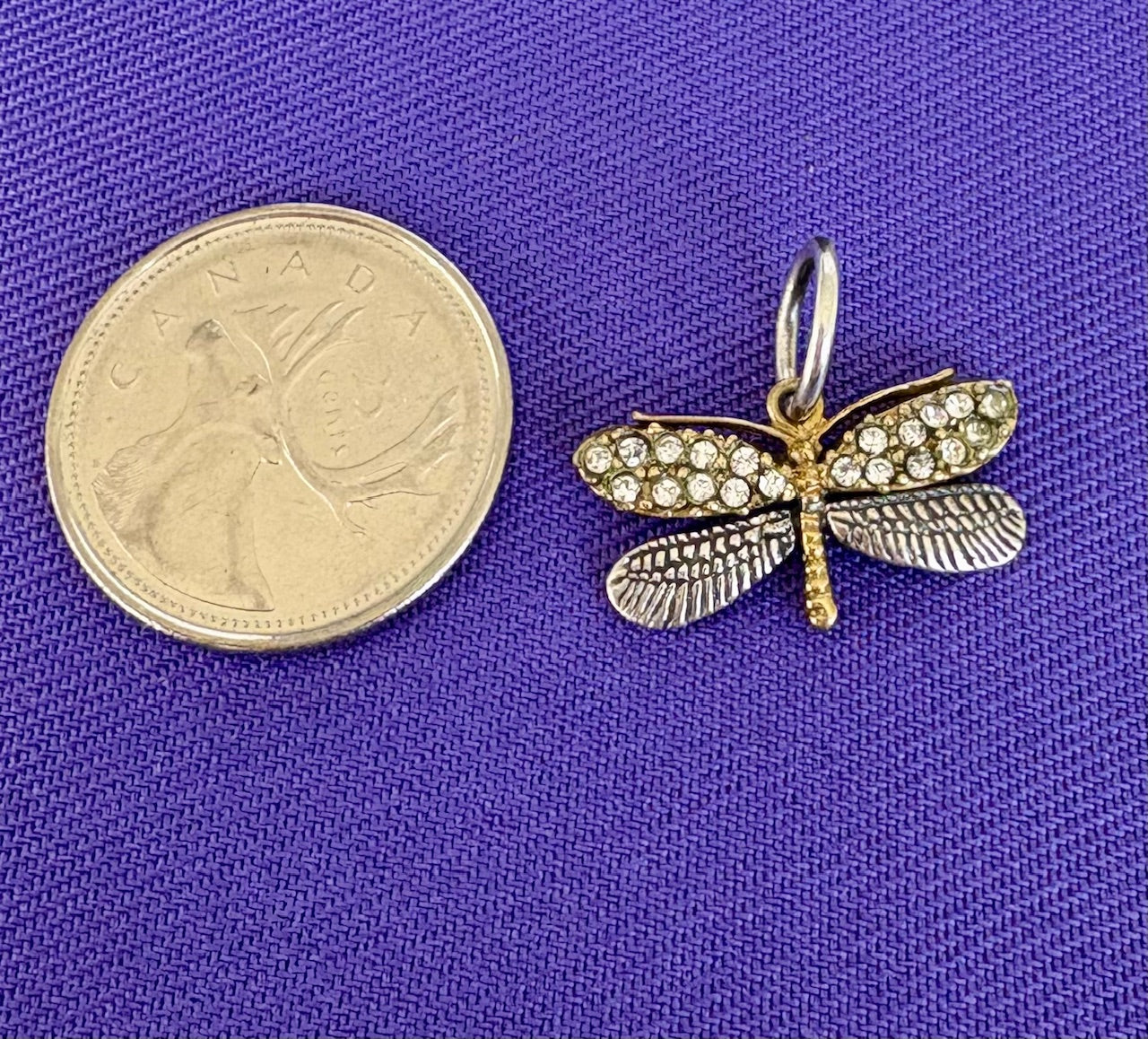 Dragonfly-shaped pendant next to a coin on a purple fabric background